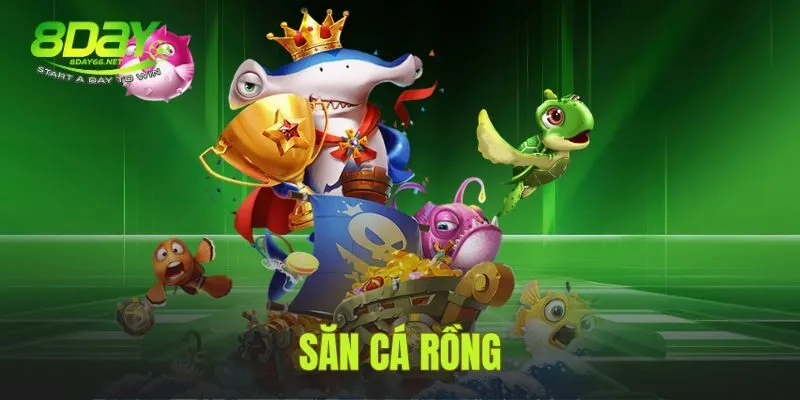 Săn Cá Rồng